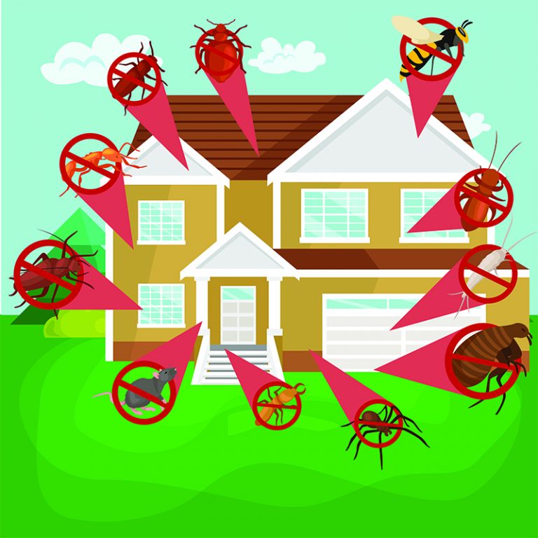 Triple S Pest Residential Pest Control Arlington, TX